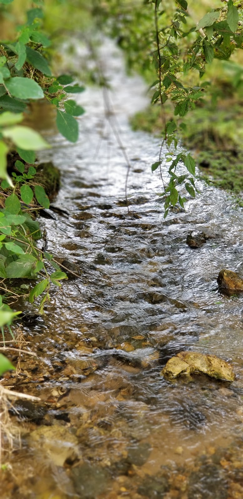 Stewart Lake County Park | 3106 Co Hwy JG, Mt Horeb, WI 53572, USA | Phone: (608) 224-3730