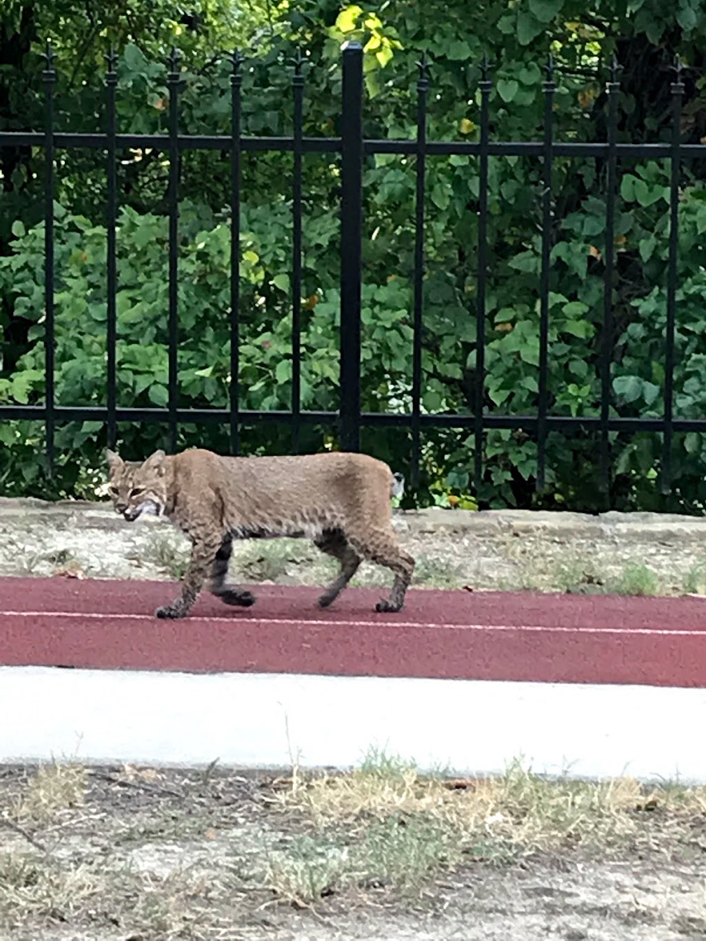 Dr. Kenneth Cooper Park | 5800 Dr Kenneth Cooper Dr, McKinney, TX 75070, USA | Phone: (972) 529-5700