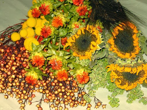 Hammelmans Dried Floral | 14477 Dominic Rd NE, Mt Angel, OR 97362, USA | Phone: (800) 884-4730