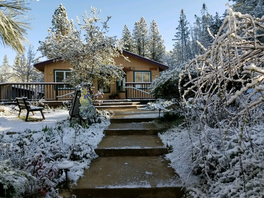 Live Oak Waldorf School | 410 Crother Rd, Meadow Vista, CA 95722, USA | Phone: (530) 878-8720