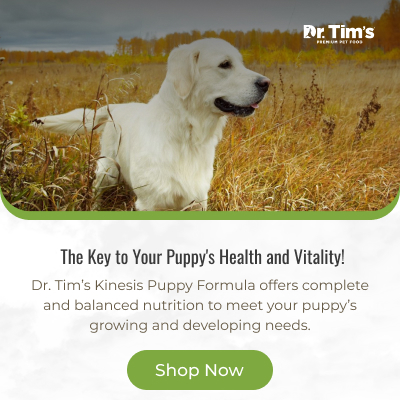 Dr. Tims Pet Food Company | 2361 US-41, Marquette, MI 49855, United States | Phone: (906) 249-8486