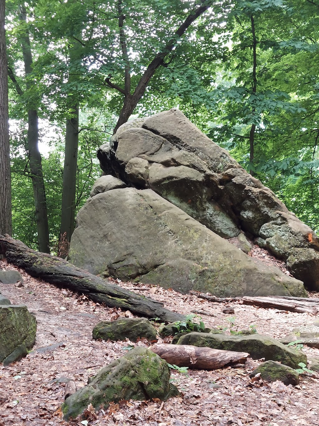 Whipps Ledges | Hinckley Lake Loop Trail, Hinckley, OH 44233, USA | Phone: (330) 278-2160