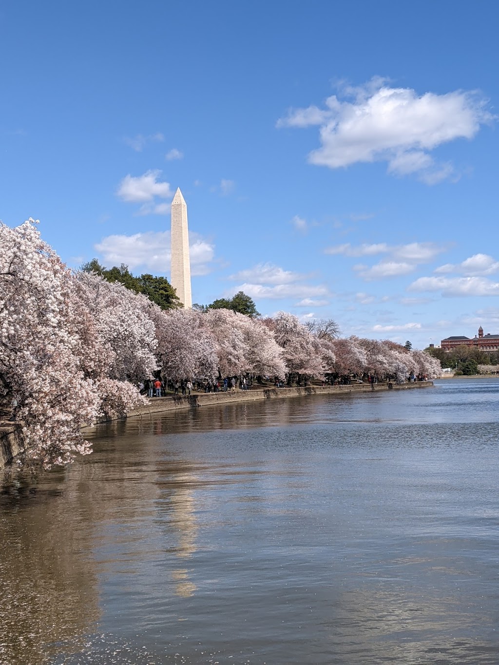 Martin Luther King, Jr. Memorial | 1964 Independence Ave SW, Washington, DC 20003, USA | Phone: (202) 426-6841