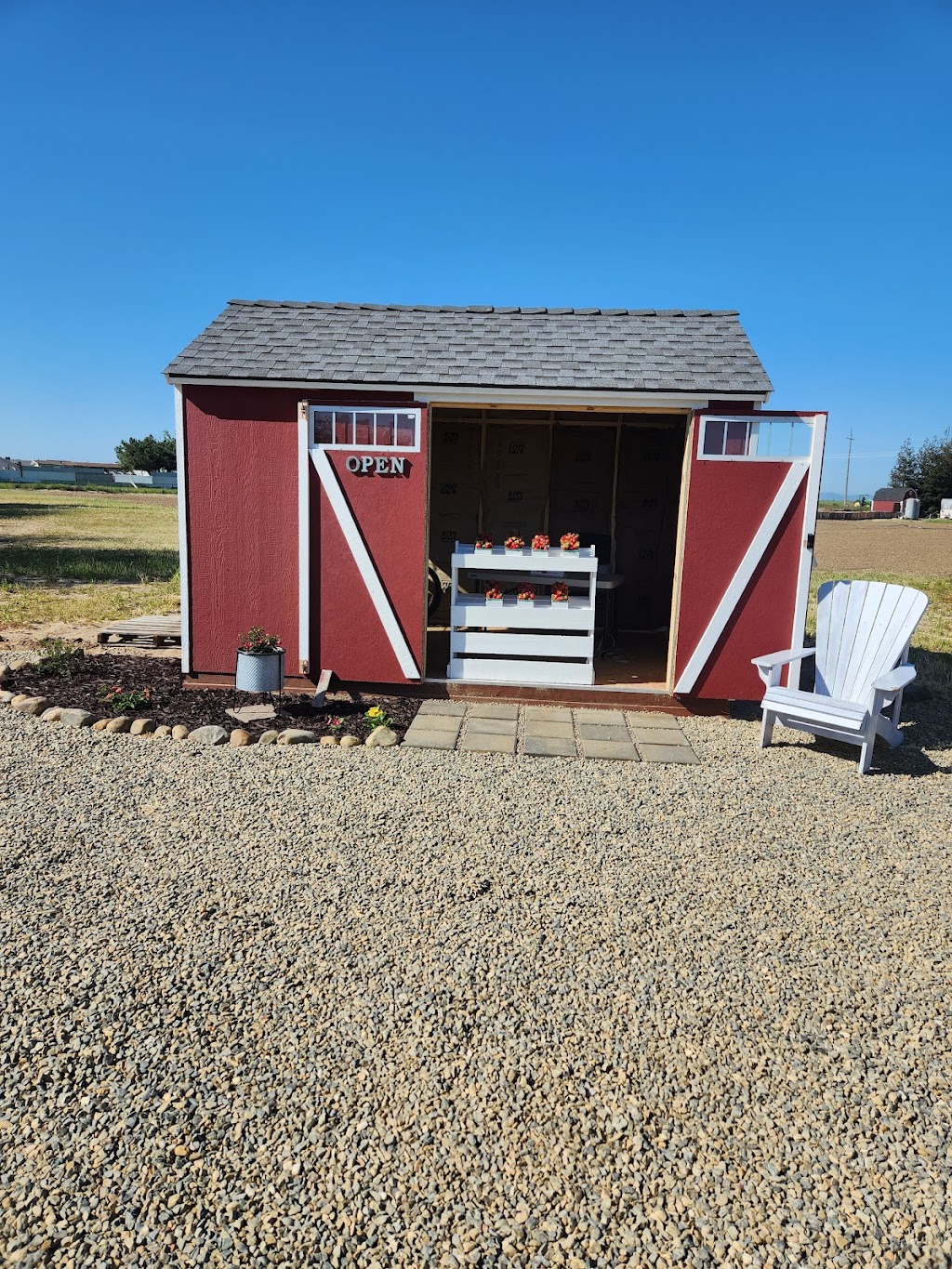 Strawberry patch AKA Bell Berries | 14891 Bell Dr, Livingston, CA 95334, USA | Phone: (209) 996-2634