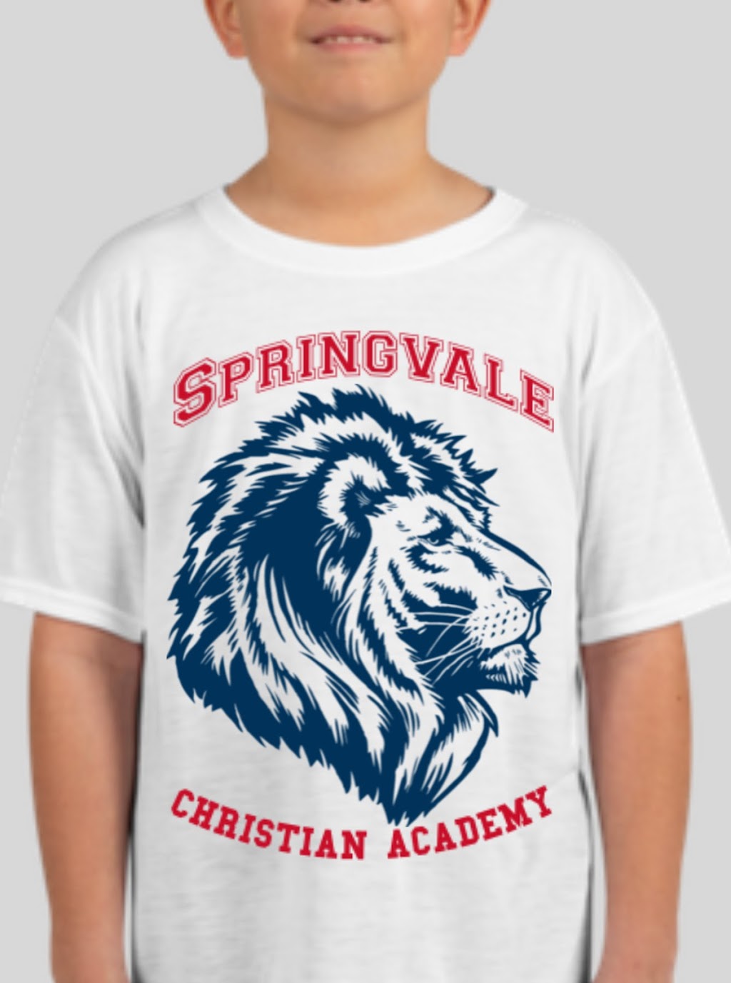 Springvale Christian Academy | 1700 Clark Dr, Loveland, OH 45140, USA | Phone: (513) 575-9104