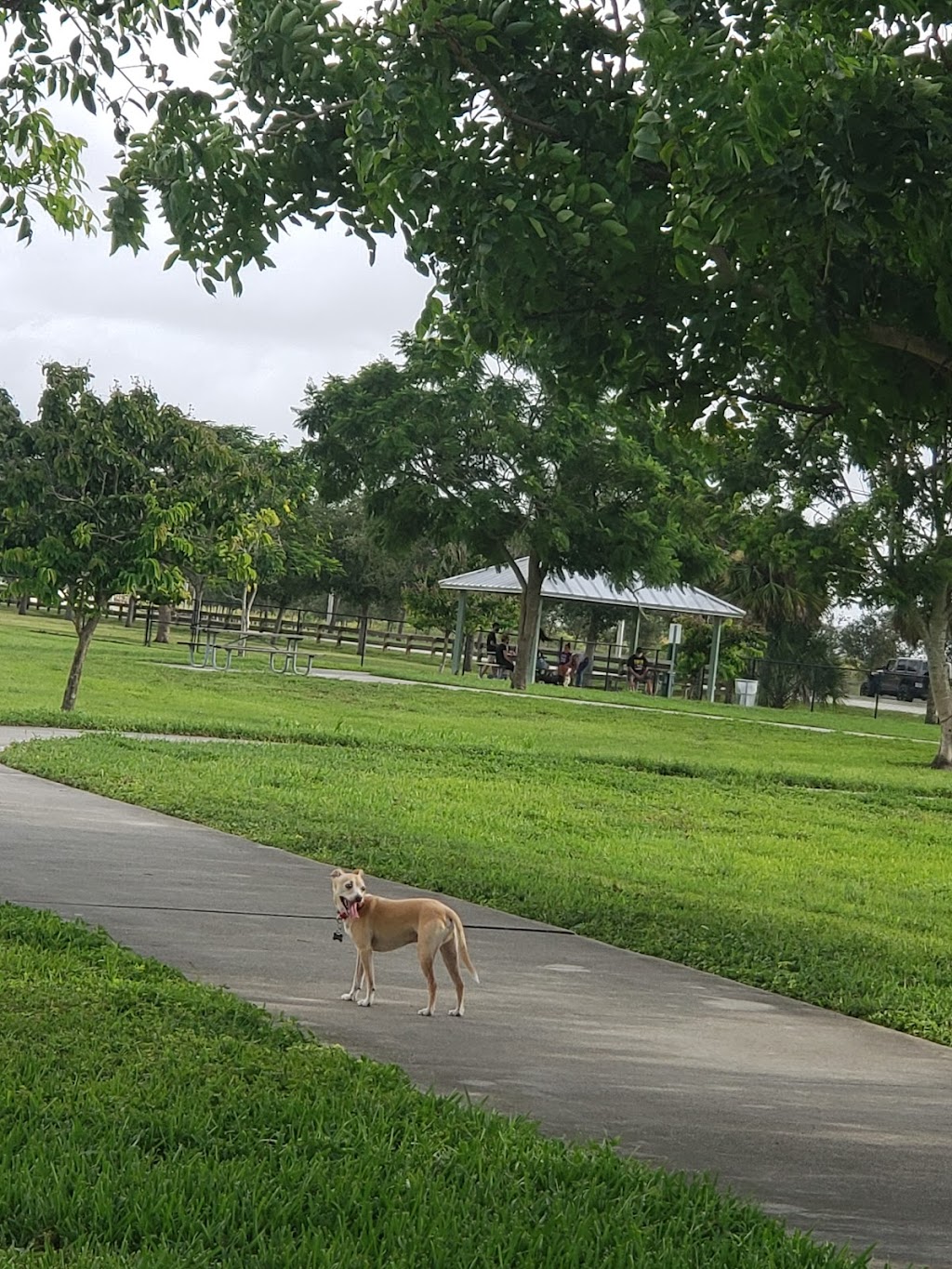 Dog Park | 11405 SW 157th Ave, Miami, FL 33196, USA | Phone: (305) 386-0227