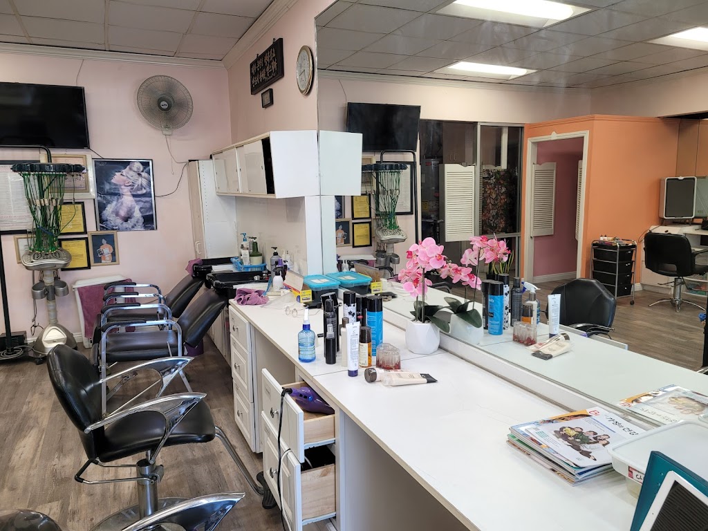 Hair Town Beauty Salon | 917 Vermont Ave, Los Angeles, CA 90006, USA | Phone: (213) 389-9992