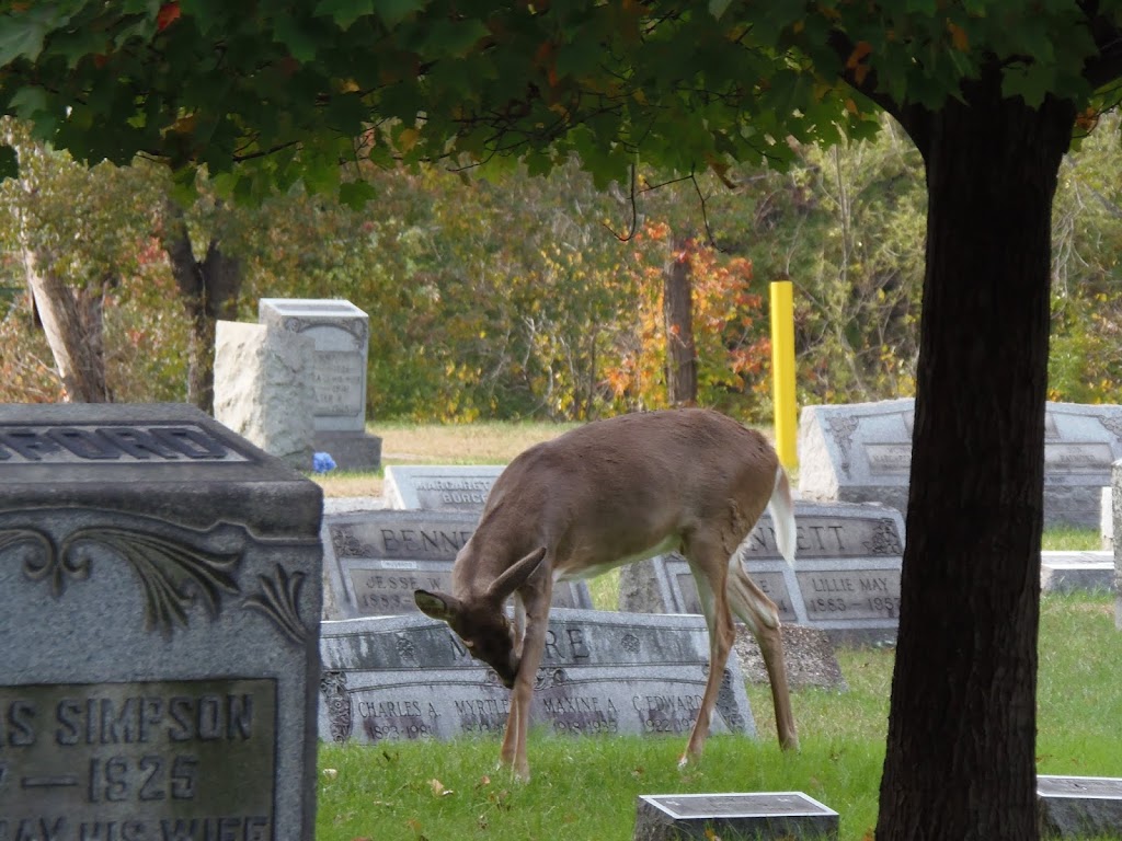 Mount Rose Cemetery | 2 North, Jefferson Ave, Moundsville, WV 26041, USA | Phone: (304) 845-5559