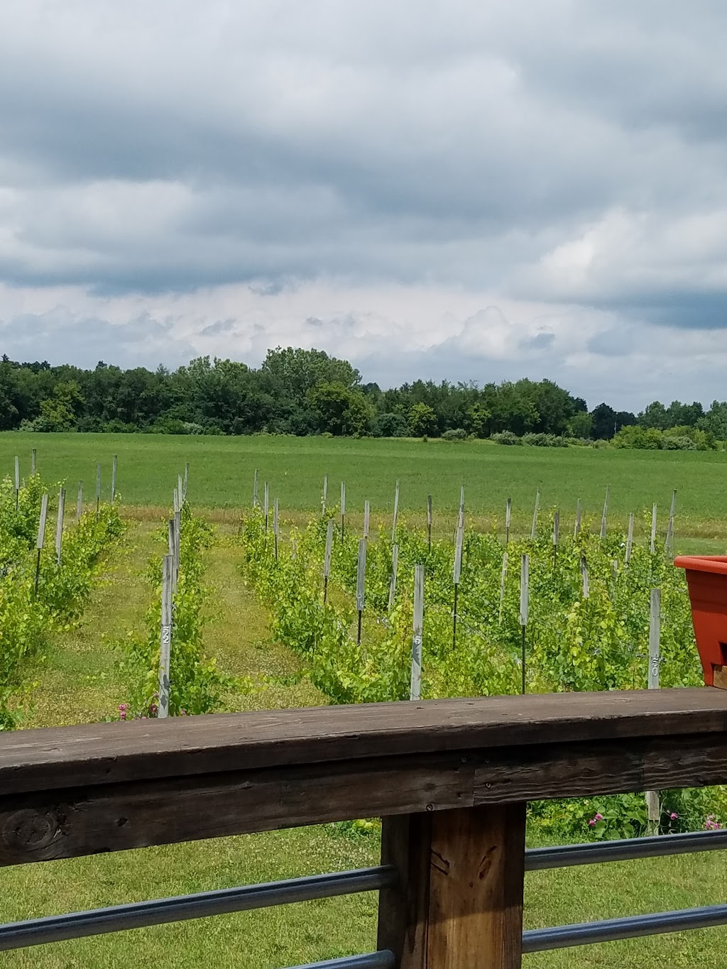 Sandhill Crane Vineyards | 4724 Walz Rd, Jackson, MI 49201, USA | Phone: (517) 764-0679