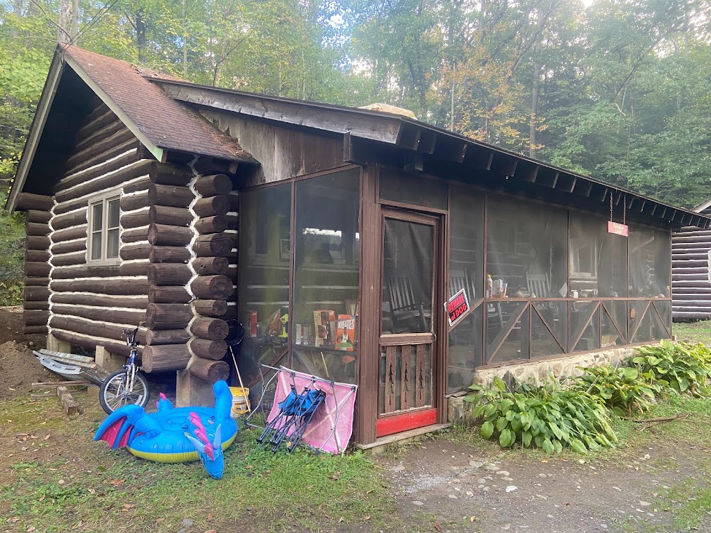 Ruggieros Public Horseback Riding and Log Cabin Rentals | 749 Howe Rd, Lake Luzerne, NY 12846, USA | Phone: (518) 932-2139