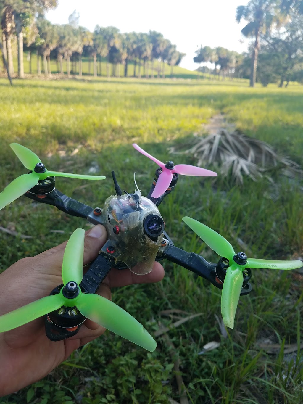 Three Mountains Natural Area | 9200 NW 1st St, Coral Springs, FL 33071, USA | Phone: (954) 345-2200