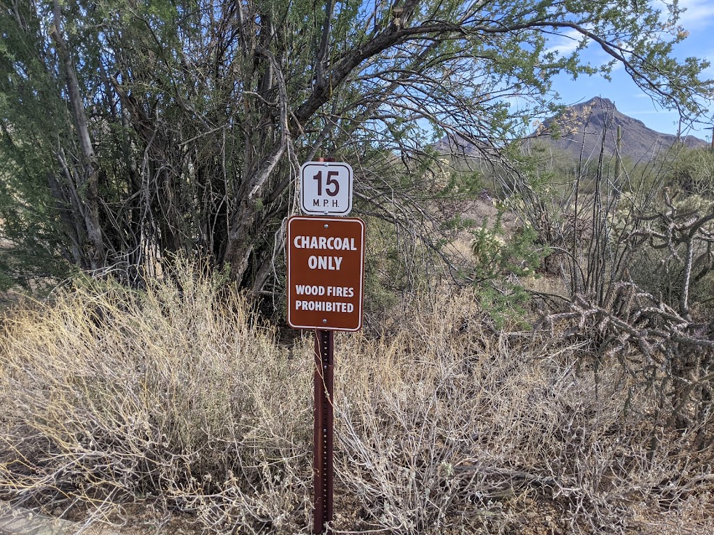 Gilbert Ray Campground | 8451 W McCain Loop, Tucson, AZ 85735, USA | Phone: (520) 403-8116