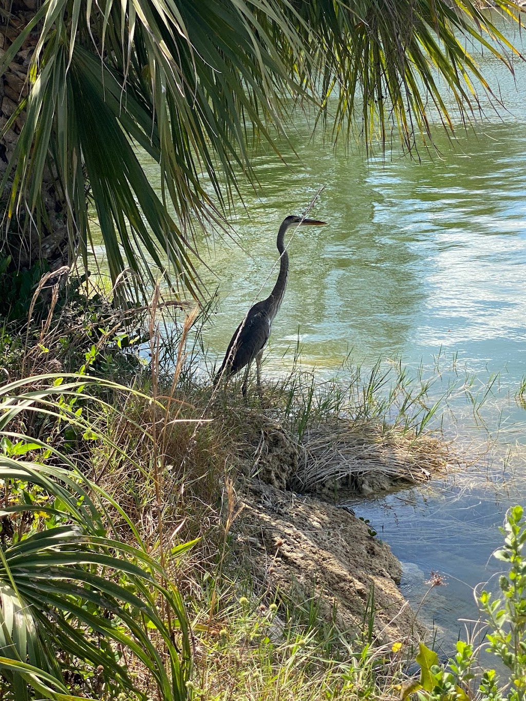 Monument Lake Campground | 50215 Tamiami Trail E, Ochopee, FL 34141, USA | Phone: (877) 444-6777