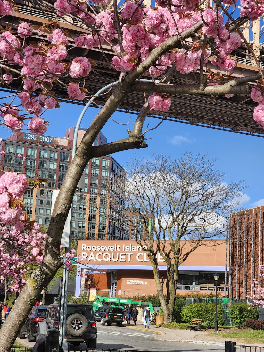 Roosevelt Island Racquet Club | 281 W Main St, New York, NY 10044, USA | Phone: (212) 935-0250