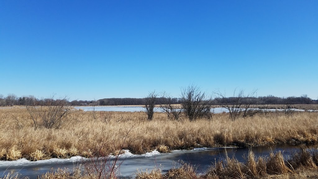 Mud Lake Forest and Ponds State Natural Area | Tollefson Rd, Rio, WI 53960, USA | Phone: (888) 936-7463