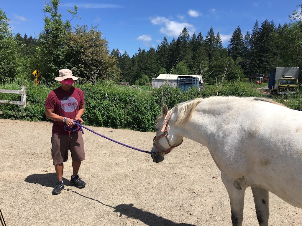 Horse Therapy for Kids, Adults and Couples | 30608 NE Mc Bride Rd #1b, Battle Ground, WA 98604, USA | Phone: (360) 798-2669