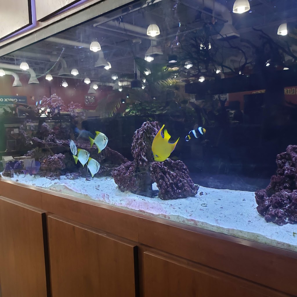 Petland Bolingbrook | The Promenade at Bolingbrook, Petland 744 E Boughton Rd, Bolingbrook, IL 60440, USA | Phone: (630) 739-1213