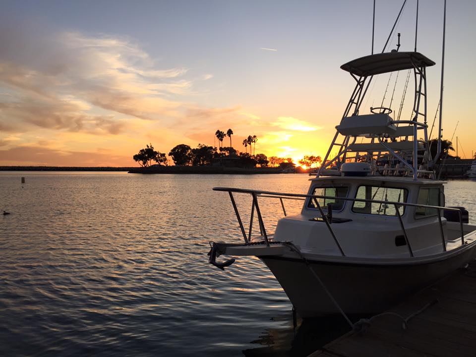 AllWater Fishing Charters, Catalina Island | 25051 Calle Playa c, Laguna Niguel, CA 90704 | Phone: (310) 955-4201