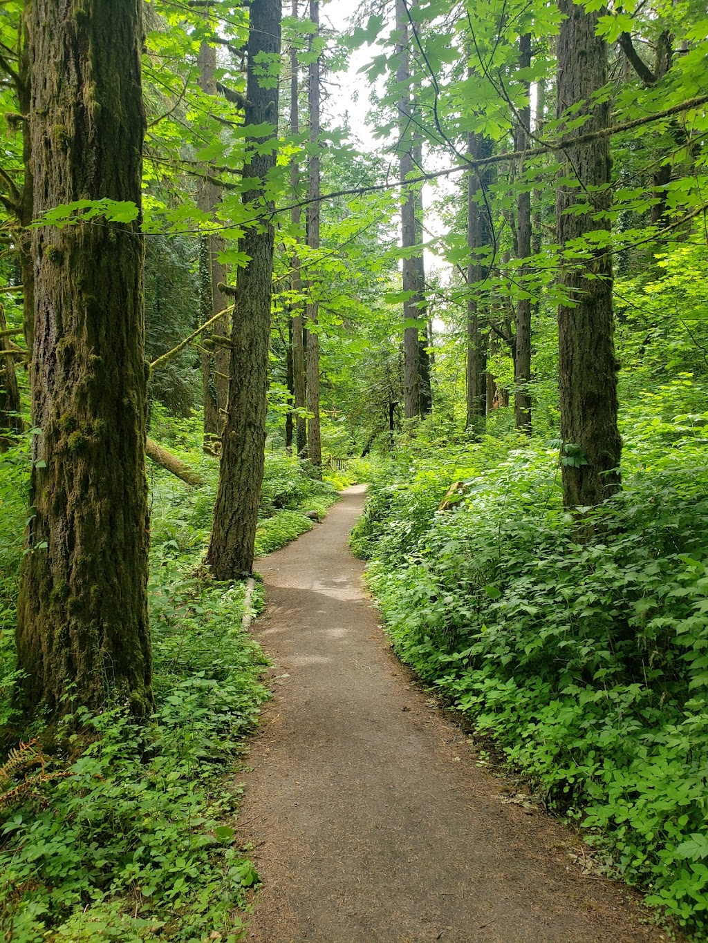 Whipple Creek Regional Park | 17202 NW 21st Ave, Ridgefield, WA 98642, USA | Phone: (360) 397-2285