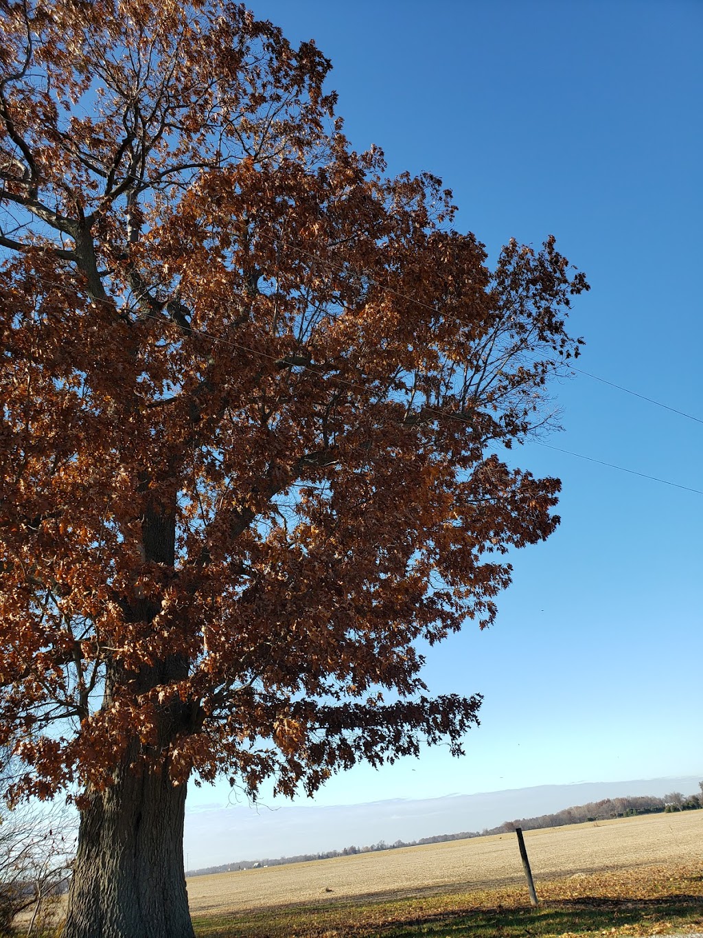 Chrysler Canada Greenway – Harrow Rotary Community Entrance | Chrysler Greenway, Harrow, ON N0R 1G0, Canada | Phone: (519) 776-5209