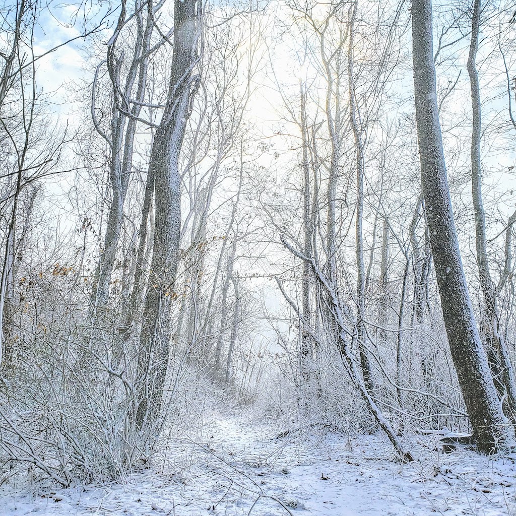 Cross Creek Park Hiking Trail | 4679 Jefferson Ave, Avella, PA 15312, USA | Phone: (724) 228-6867