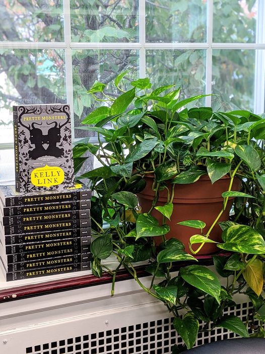 Gowanda Free Library | 56 W Main St, Gowanda, NY 14070, USA | Phone: (716) 532-3451