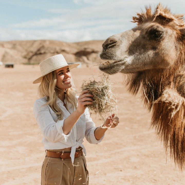 Camel Safari Las Vegas | 2725 River Cliff Rd, Bunkerville, NV 89007, USA | Phone: (800) 836-4036