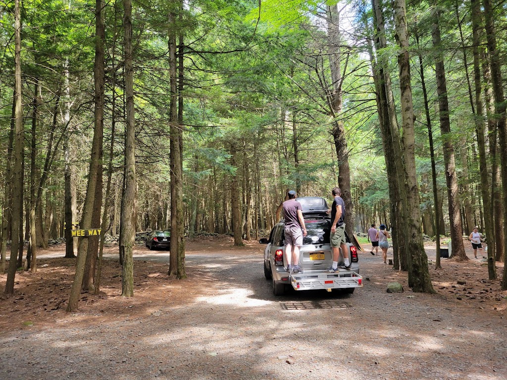 Country Roads Campground | 144 Peaceful Ln, Gilboa, NY 12076, USA | Phone: (518) 827-6397