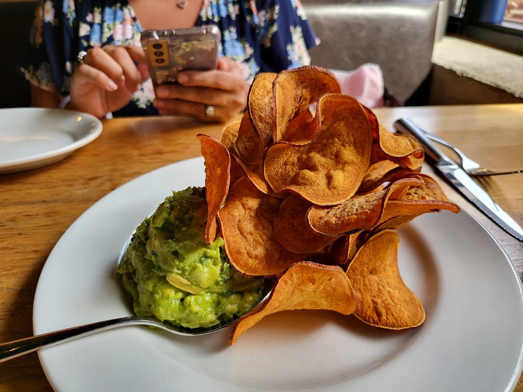 Doc Bs Restaurant | 2223 N Westshore Blvd B-206, Tampa, FL 33607, USA | Phone: (813) 498-6200