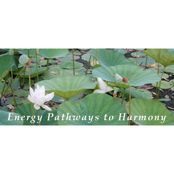 Energy Pathways to Harmony | 1861 Springfield Ave, Maplewood, NJ 07040, USA | Phone: (917) 353-7363