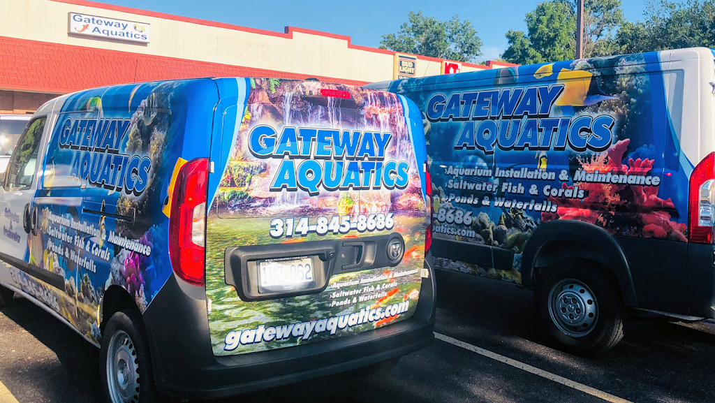 Gateway Aquatics | 4570 Telegraph Rd, St. Louis, MO 63129 | Phone: (314) 845-8686