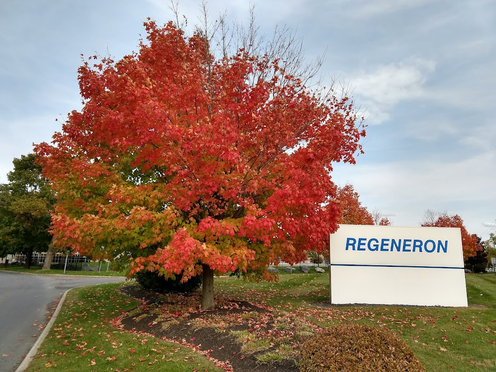 Regeneron Pharmaceuticals Inc | 81 Columbia Turnpike, Rensselaer, NY 12144 | Phone: (518) 488-6000