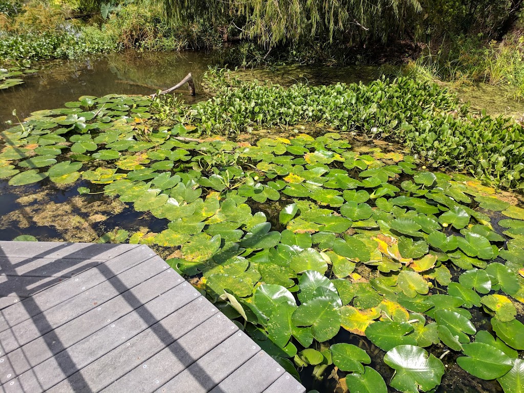 Spring Lake | 201 San Marcos Springs Dr, San Marcos, TX 78666, USA | Phone: (512) 245-7590