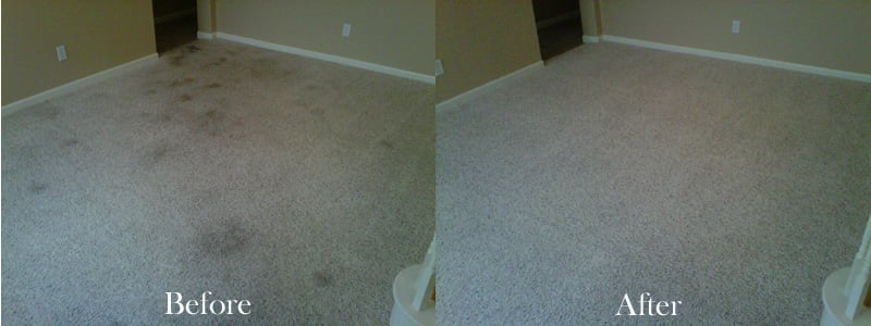 Pro Team Carpet Cleaning Lincoln | 180 Flocchini Cir, Lincoln, CA 95648 | Phone: (916) 745-6283