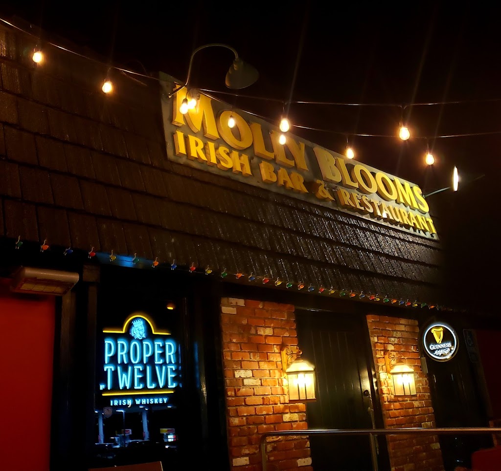 Blooms Irish Pub | 2391 S El Camino Real, San Clemente, CA 92672, USA | Phone: (949) 218-0120