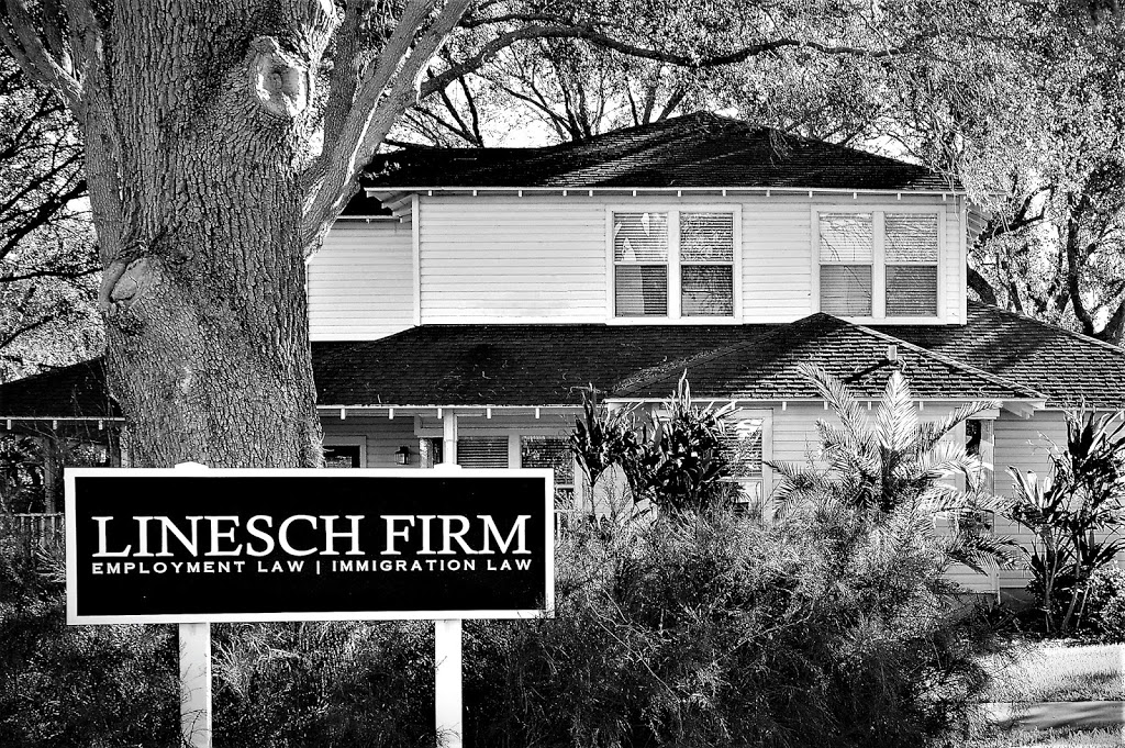 Linesch Firm | 700 Bee Pond Rd, Palm Harbor, FL 34683 | Phone: (727) 786-0000