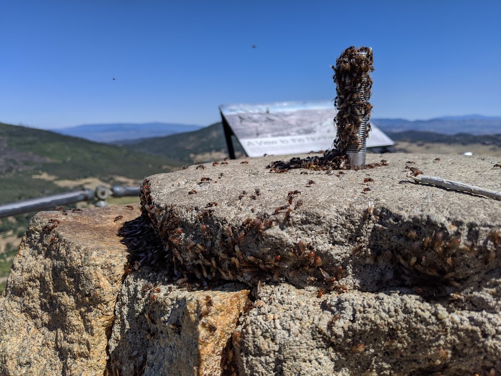 Stonewall Peak | Stonewall Peak Trail, Julian, CA 92036, USA | Phone: (760) 765-0755