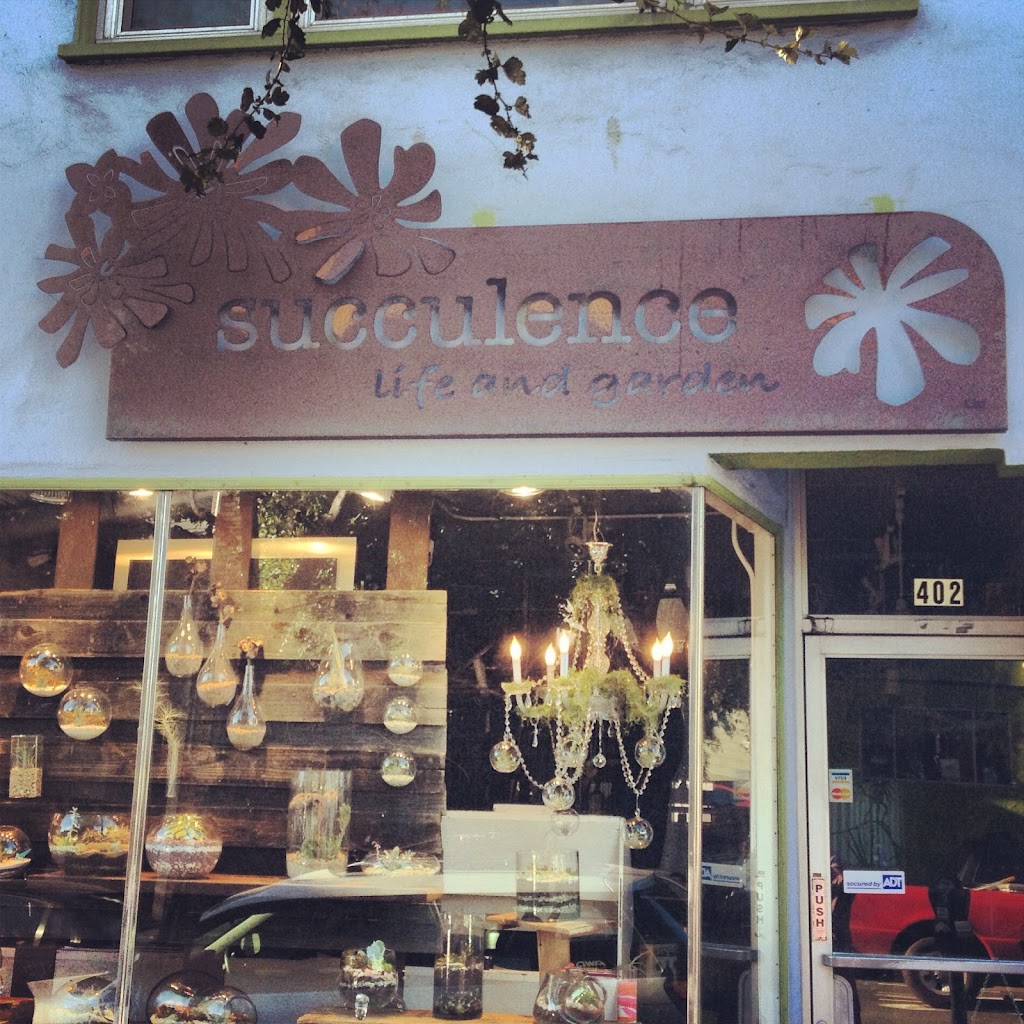 Succulence | 402 Cortland Ave, San Francisco, CA 94110, USA | Phone: (415) 282-2212