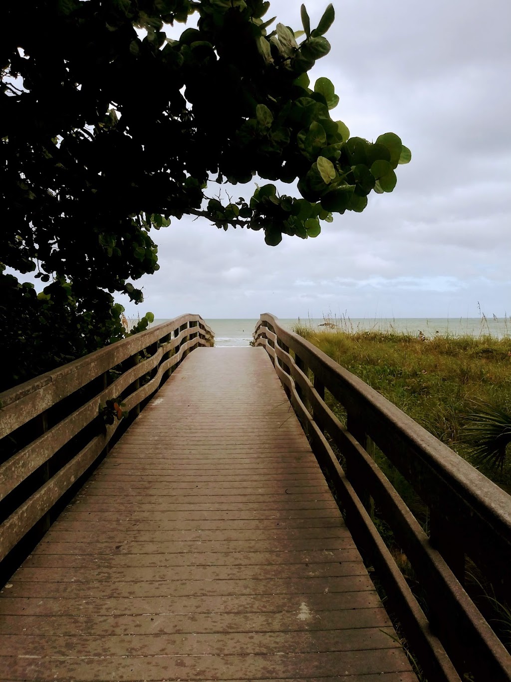 AgentJane Health & Life | 2313 Bay Blvd, Indian Rocks Beach, FL 33785, USA | Phone: (727) 314-0116