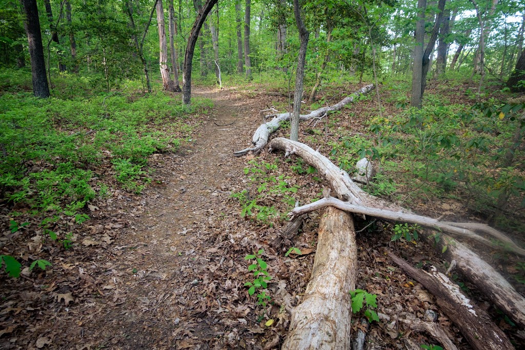 Cattail Creek Natural Area | Severna Park, MD 21146, USA | Phone: (443) 679-6575