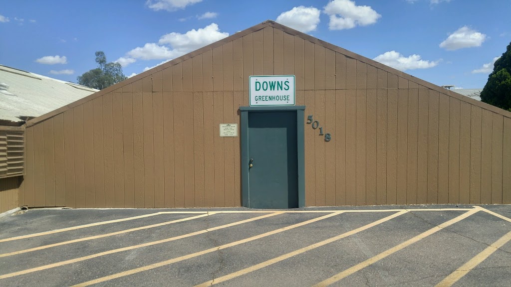Downs Wholesale Greenhouse | 5018 E Thomas Rd, Phoenix, AZ 85018 | Phone: (602) 840-2600
