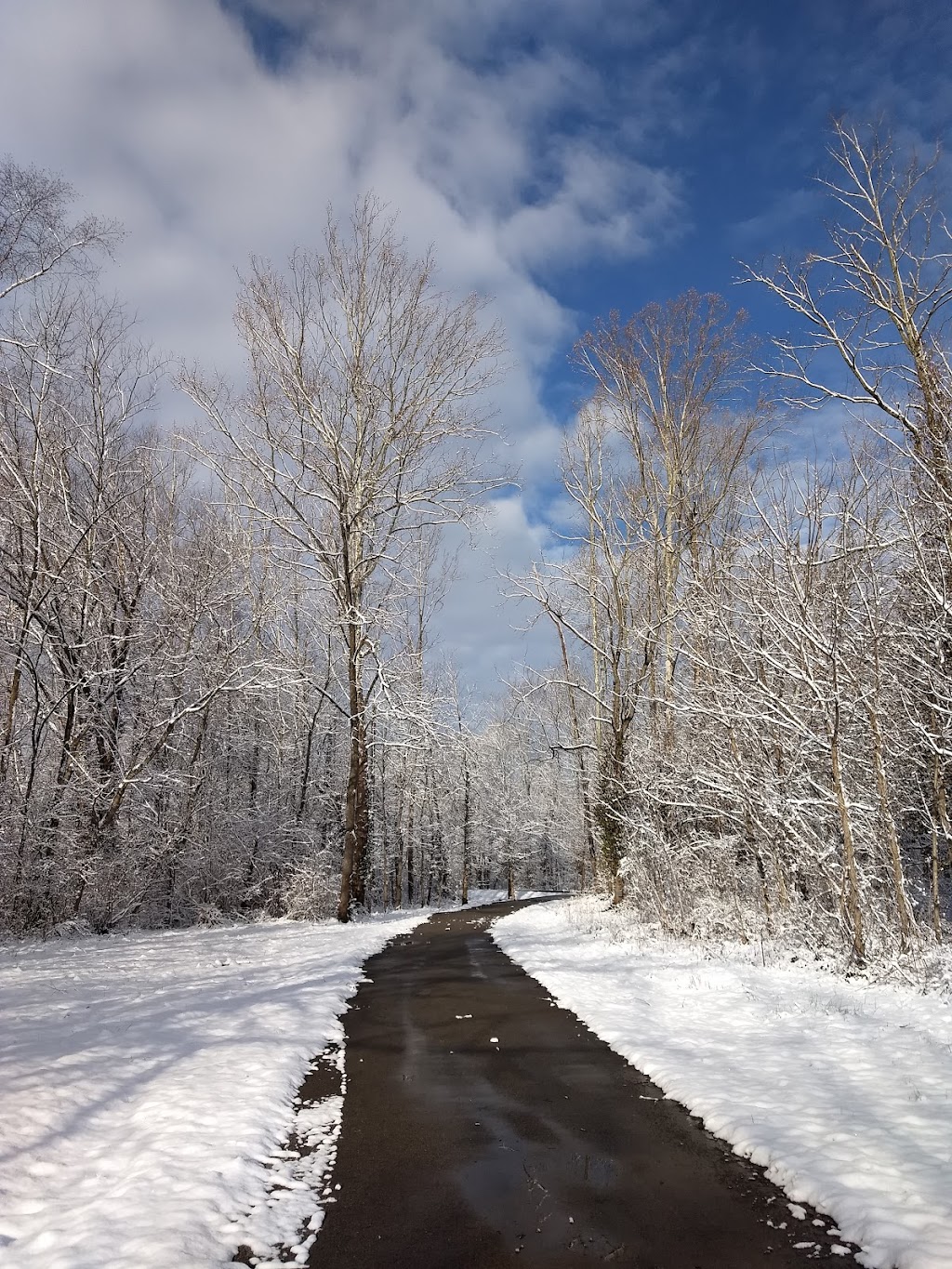 Silver Creek, John Stephenson Trail | Berea, KY 40403, USA | Phone: (859) 985-3000