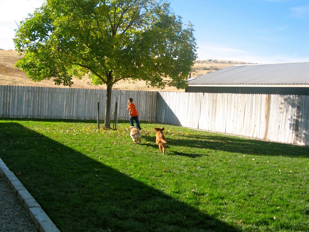 Fetch This Kennels | 10465 Stone Quarry Rd, Payette, ID 83661, USA | Phone: (208) 642-4245