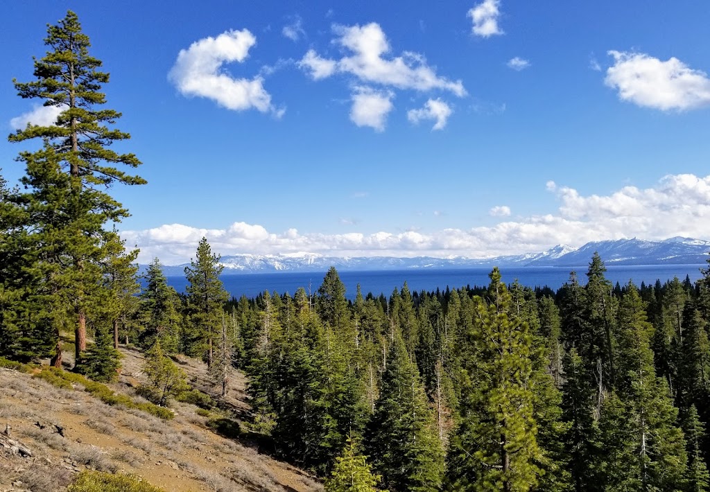 Burton Creek State Park | Tahoe City, CA 96145, USA | Phone: (530) 525-7232