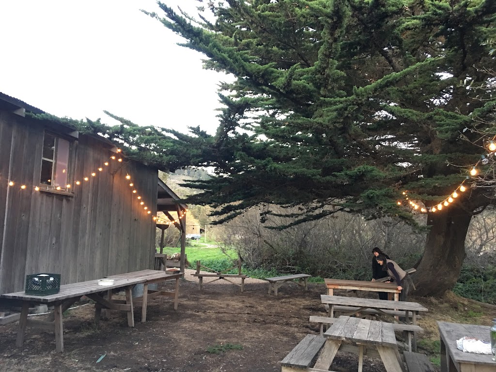 Pie Ranch | 2080 CA-1, Pescadero, CA 94060, USA | Phone: (650) 879-0996