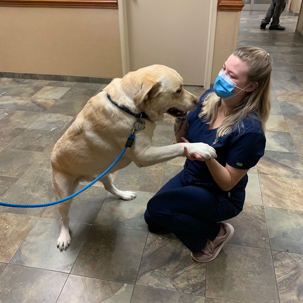 Town & Country Veterinary Hospital | 2010 N Salem St, Apex, NC 27523, USA | Phone: (919) 363-6363