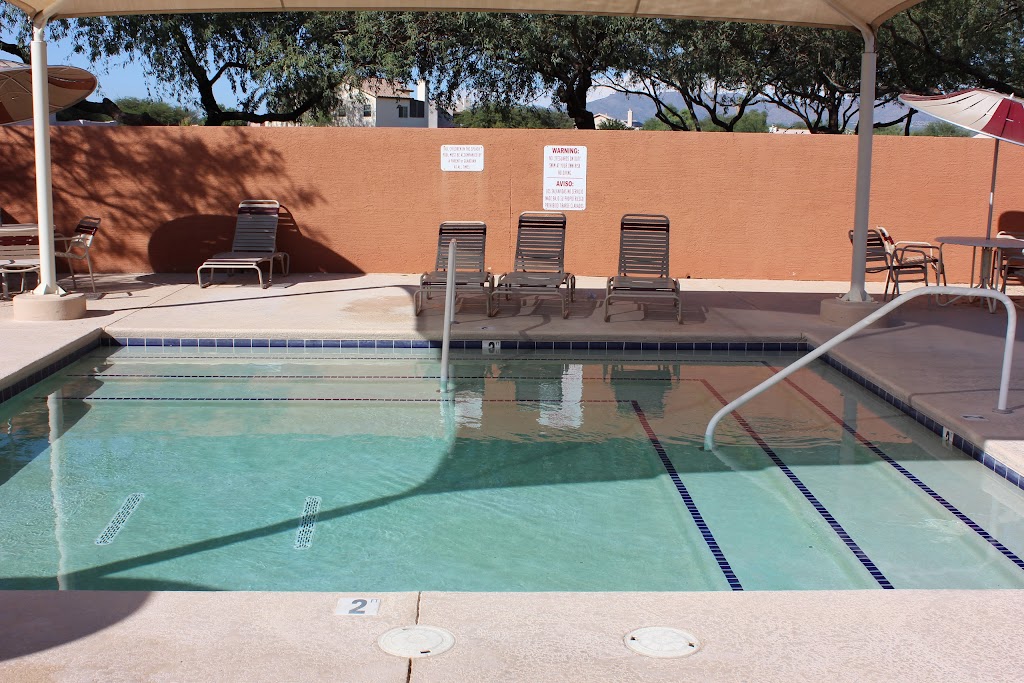 Saguaro Aquatics (Continental Ranch) | 8881 N Coachline Blvd, Tucson, AZ 85743 | Phone: (520) 638-8040