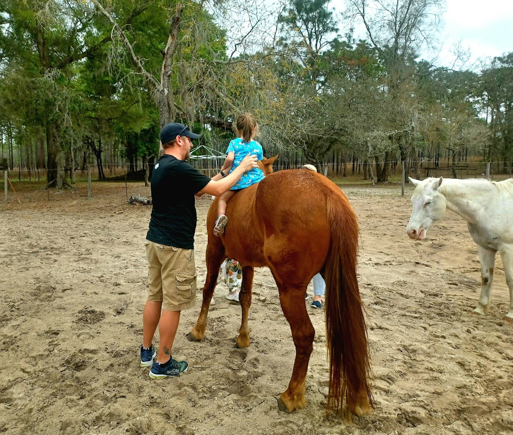 H&L Ranch & Blueberry Farm | 24537 Evaline St, Brooksville, FL 34601, USA | Phone: (352) 797-0822