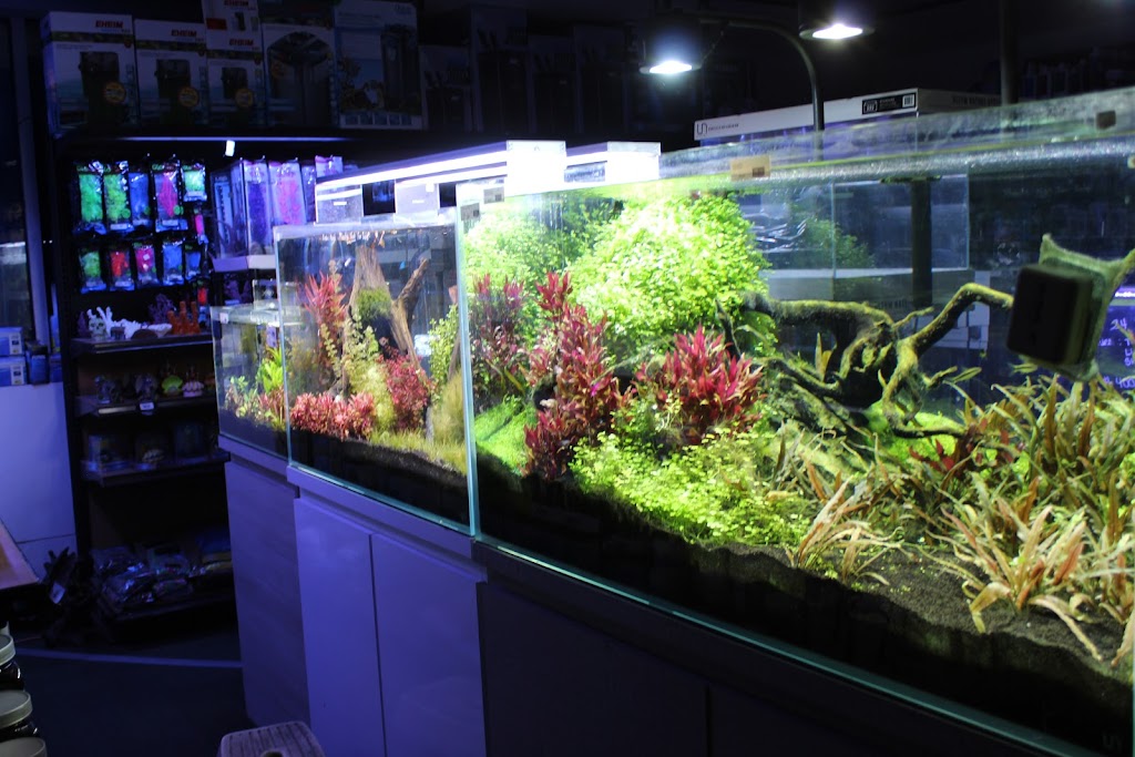 Age of Aquariums | 2642 Cherry Ave, Signal Hill, CA 90755, USA | Phone: (562) 438-6252