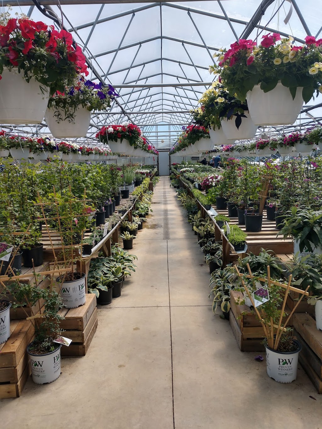 Strait Gate Greenhouses | 2298 Arrowsmith Rd, Hicksville, OH 43526, USA | Phone: (419) 487-1027